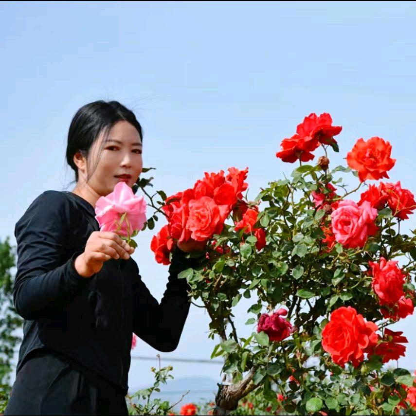 诺海园艺花卉农场