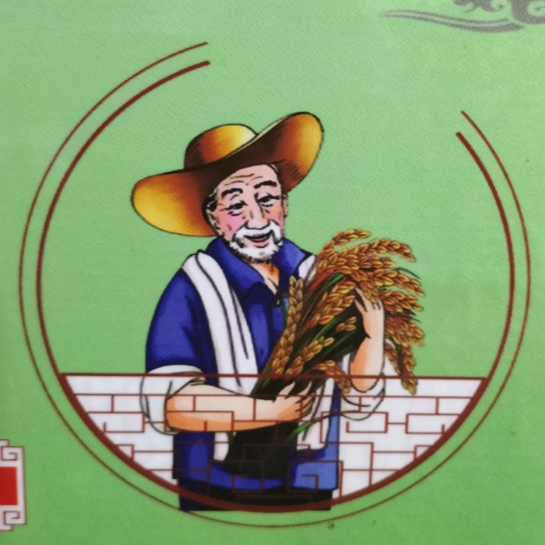 土地出租，蔬菜种植