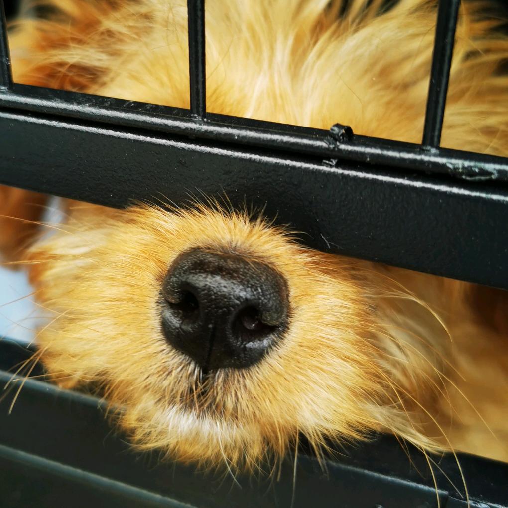 对对对还是我我我