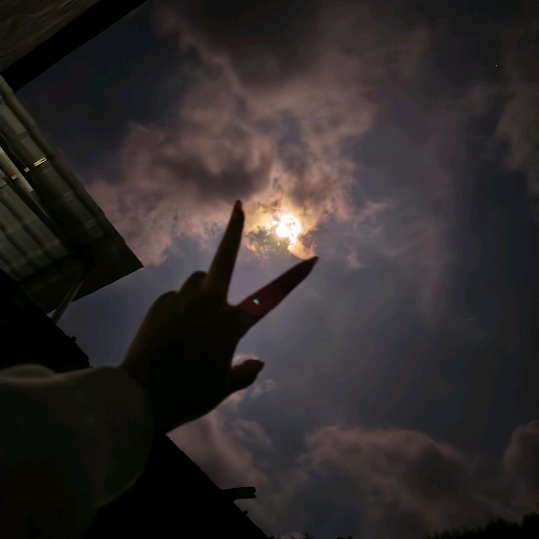 许星辰.∗̥❀