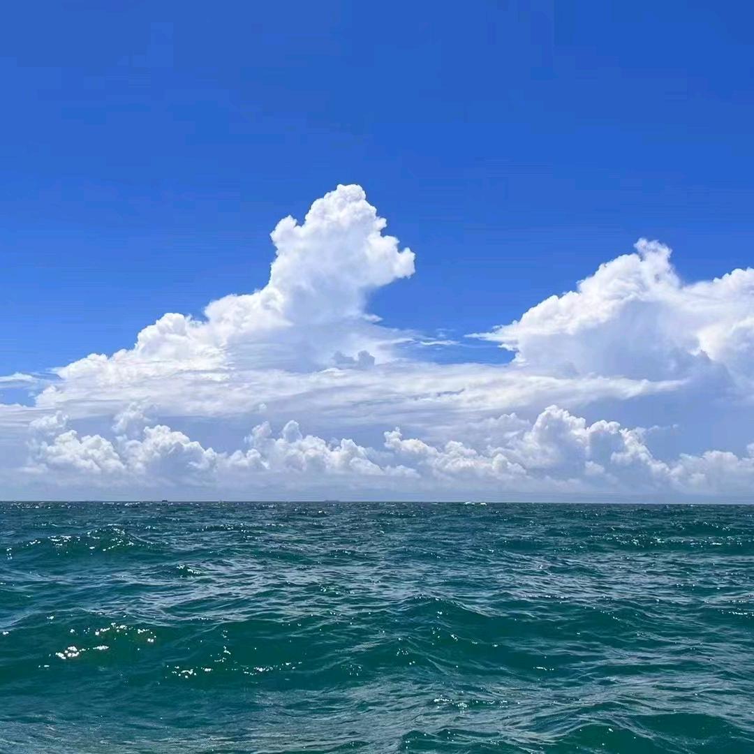 用户258456655