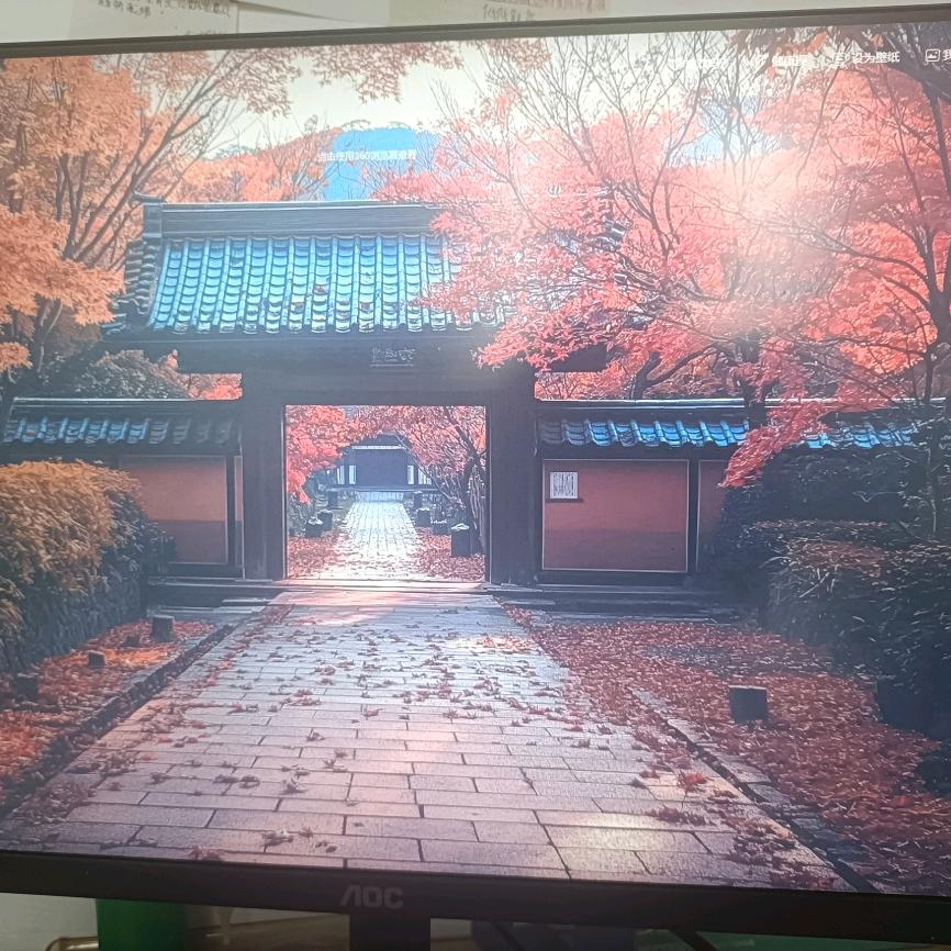 知音姐
