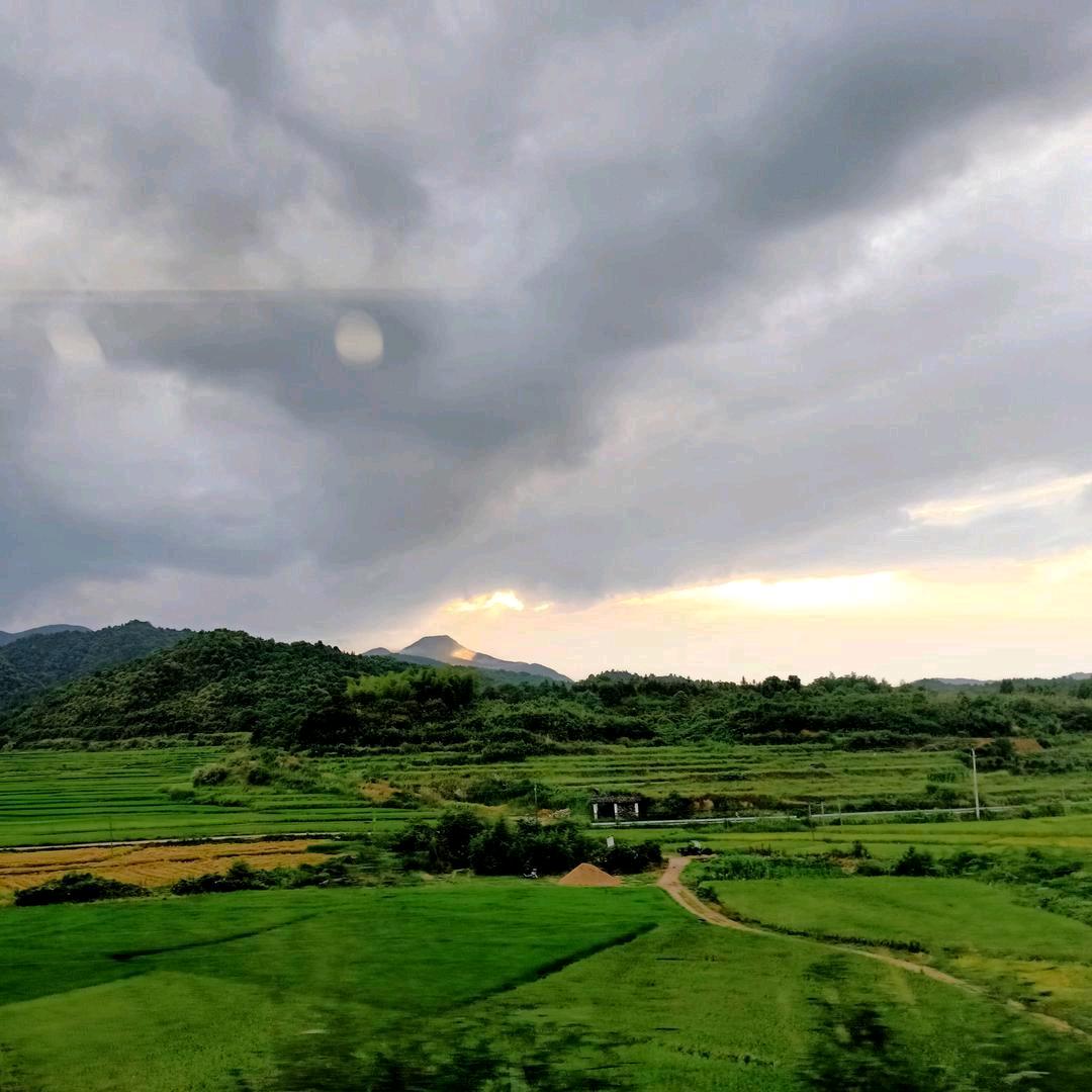 江南★《没心了》