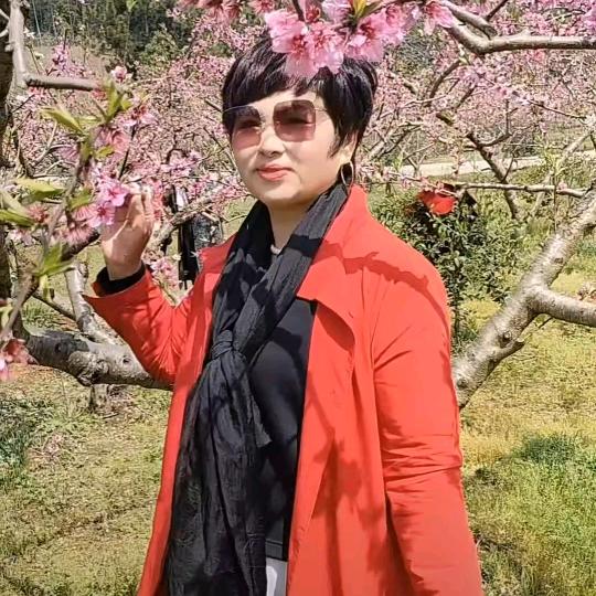 淡雅如兰～