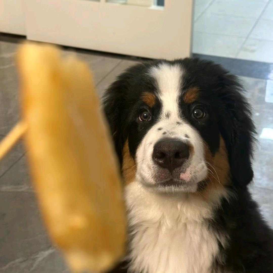 两点五根羊肉串