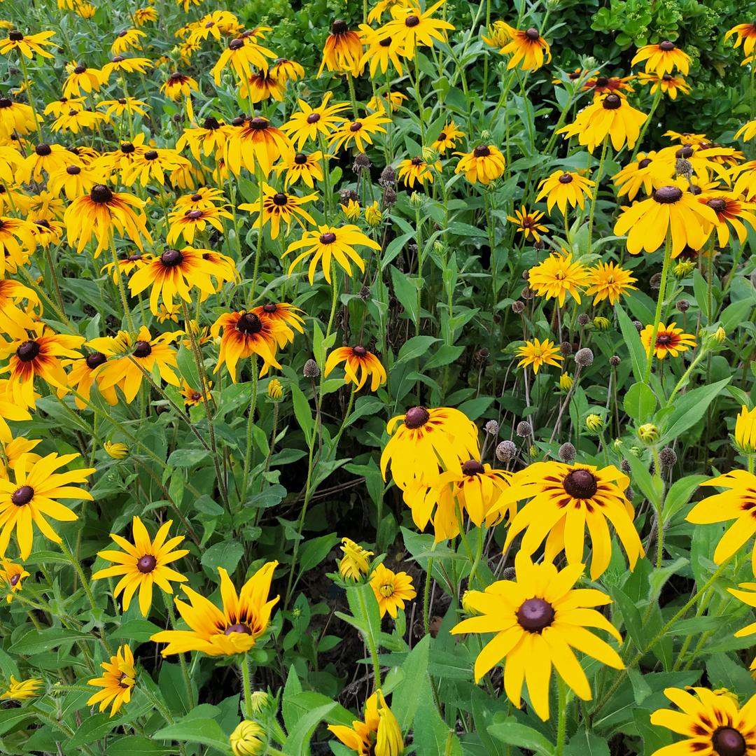 快乐如风，我在其中