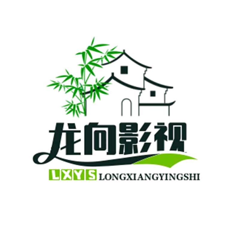 龙向影视