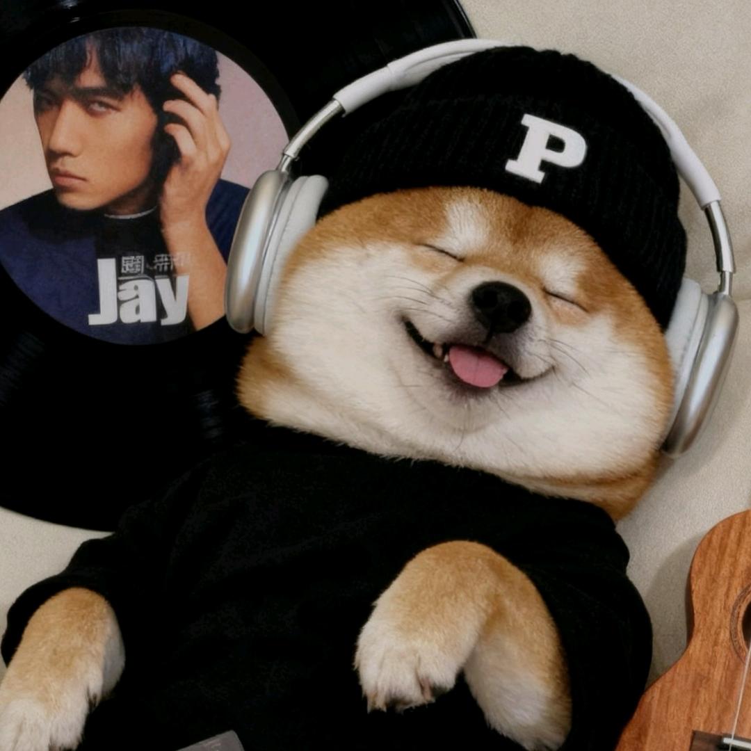 睡觉睡觉睡觉🦭