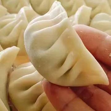 桃江文女士私房饺子馄饨