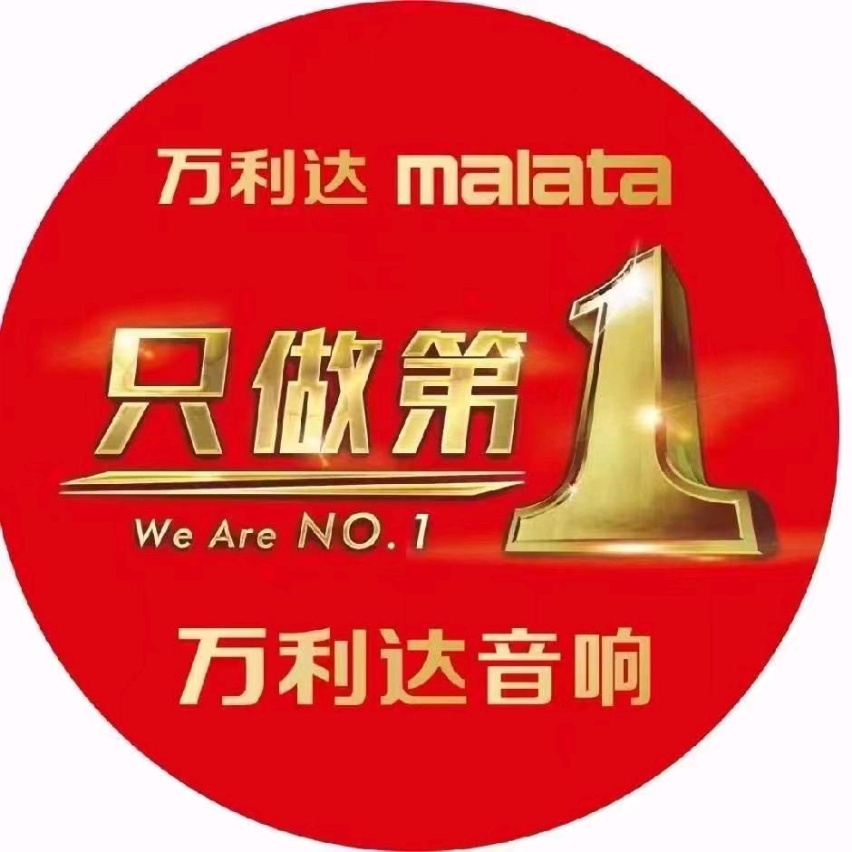 武陟万利达音响