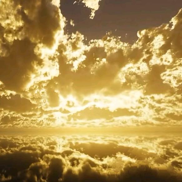 今天天气真好！