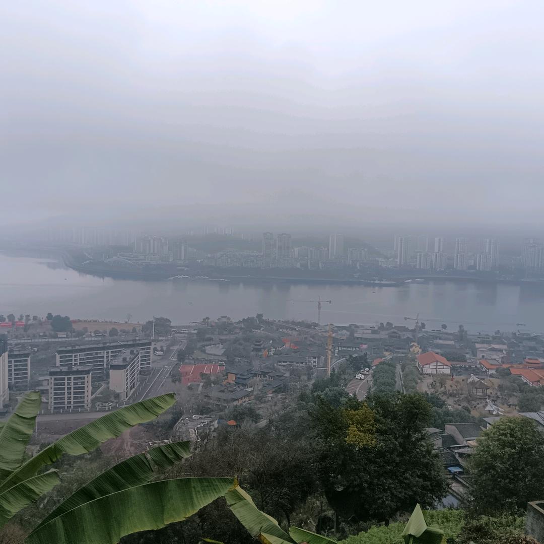 wangxiaojun5234