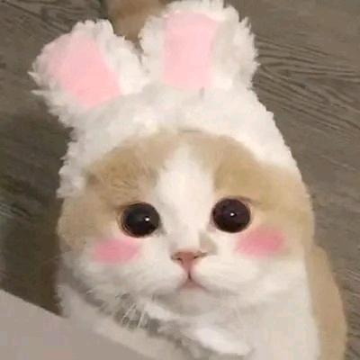 lalalalalaa659