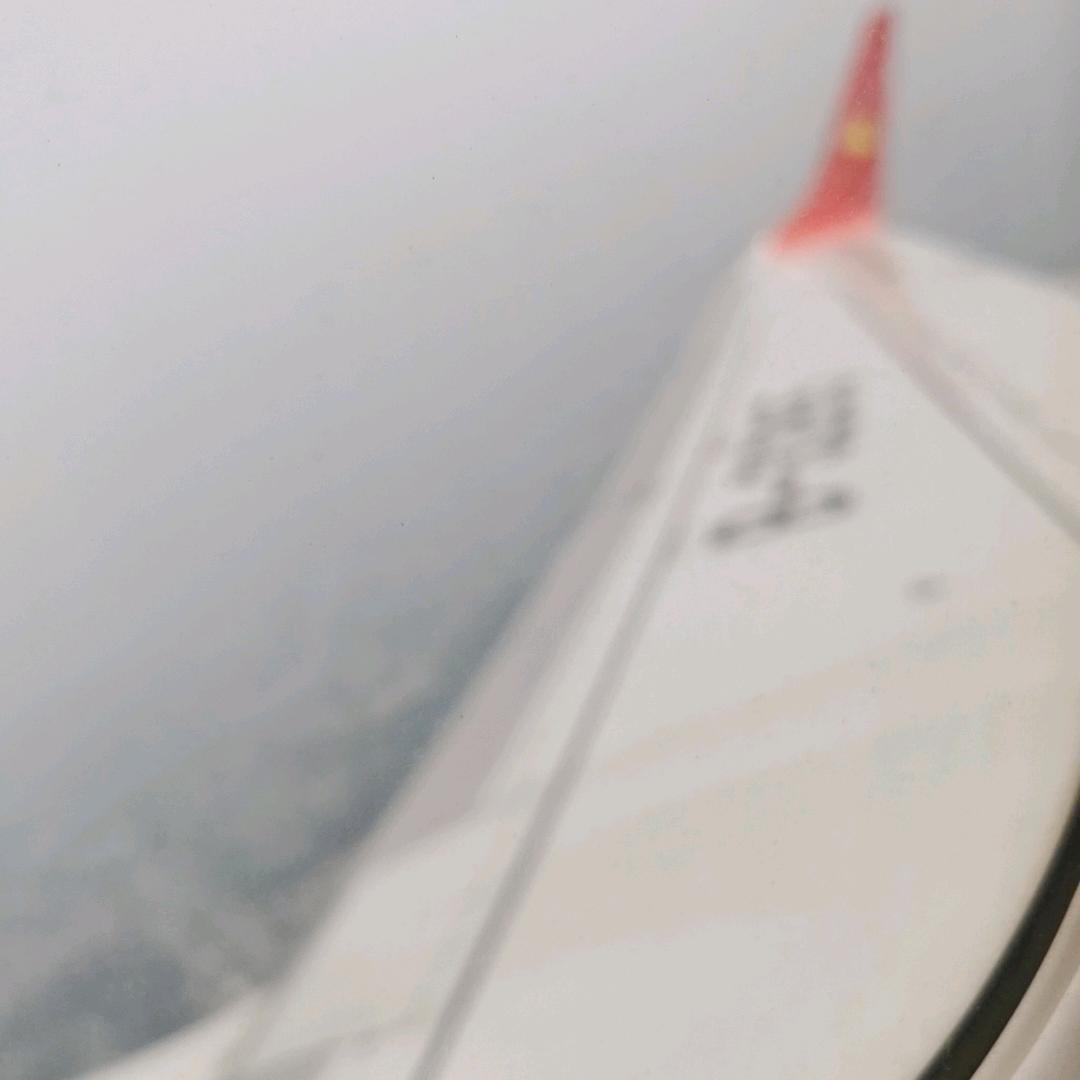 青辣椒