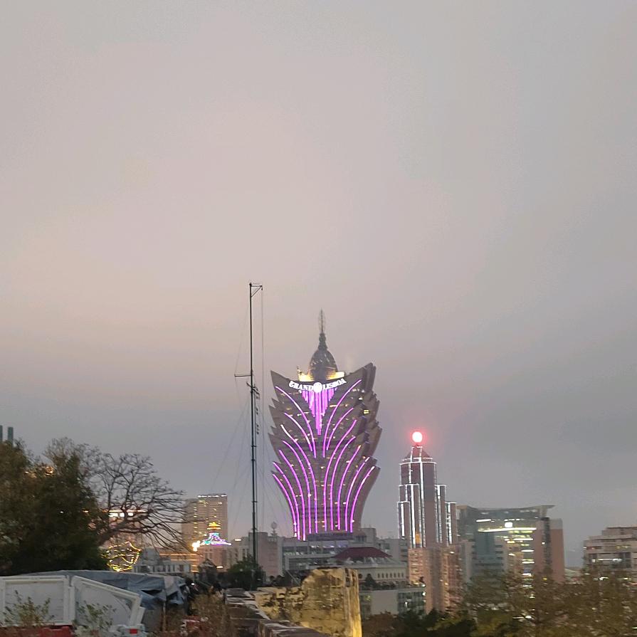 金绿林园艺