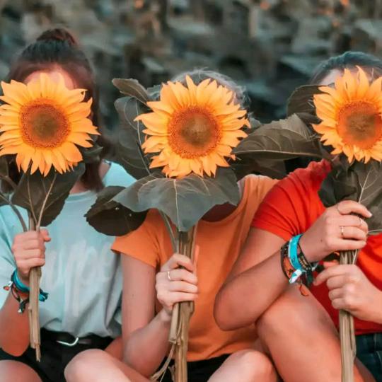 璀璨星选超市（推荐官）