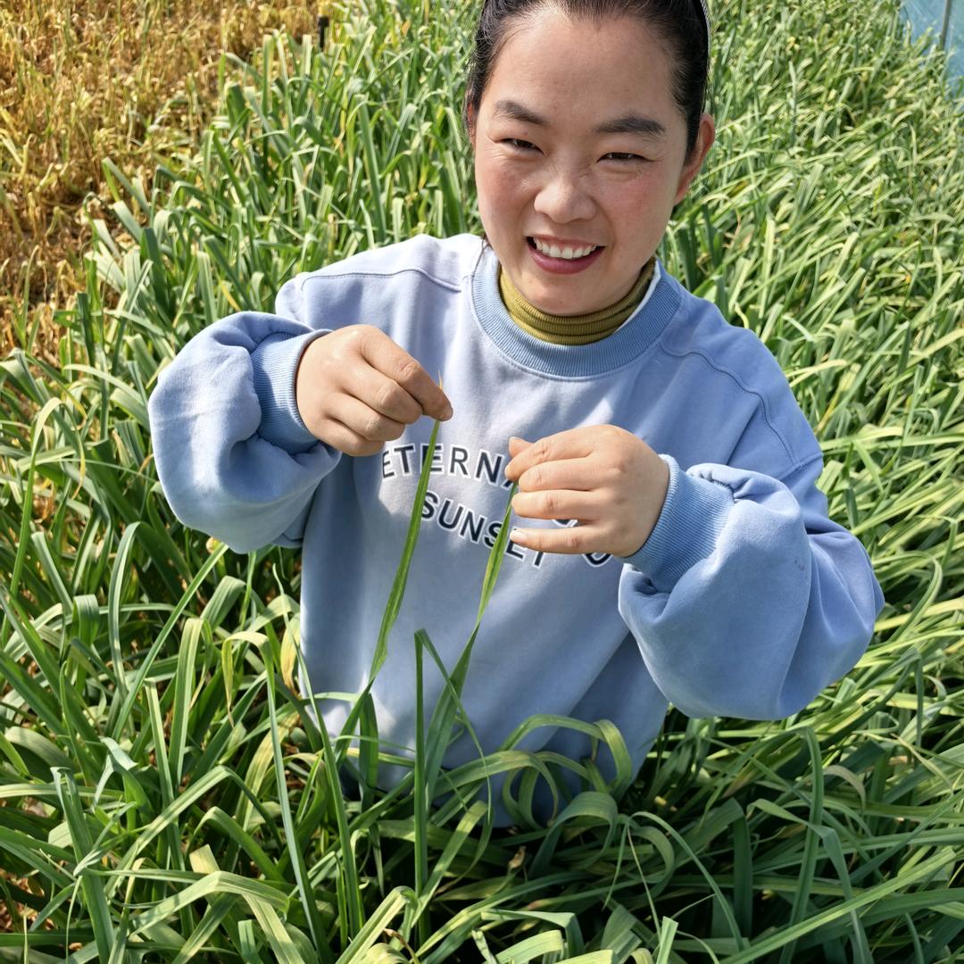 土山巧艳农资