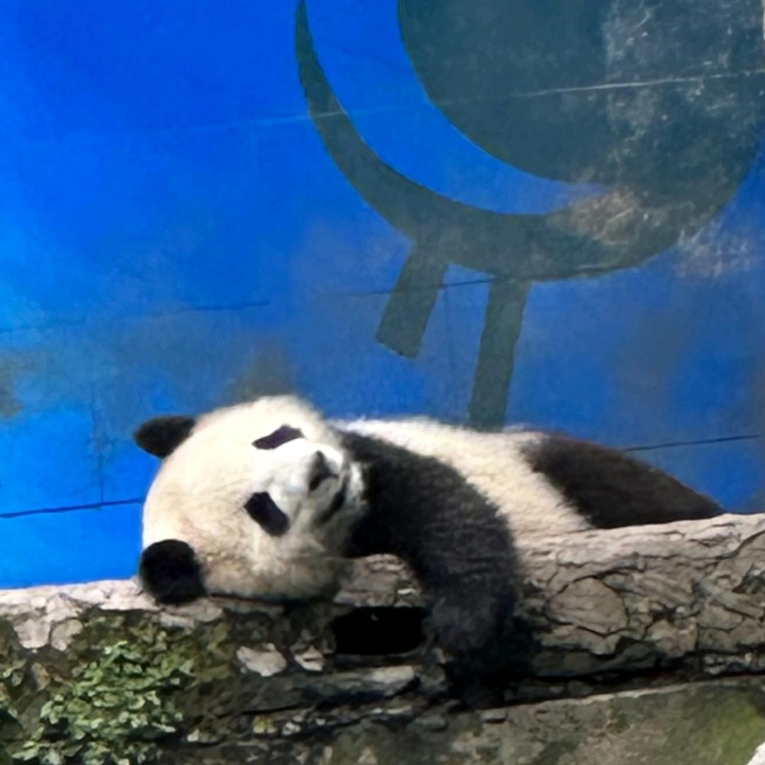 往事归零爱恨随意