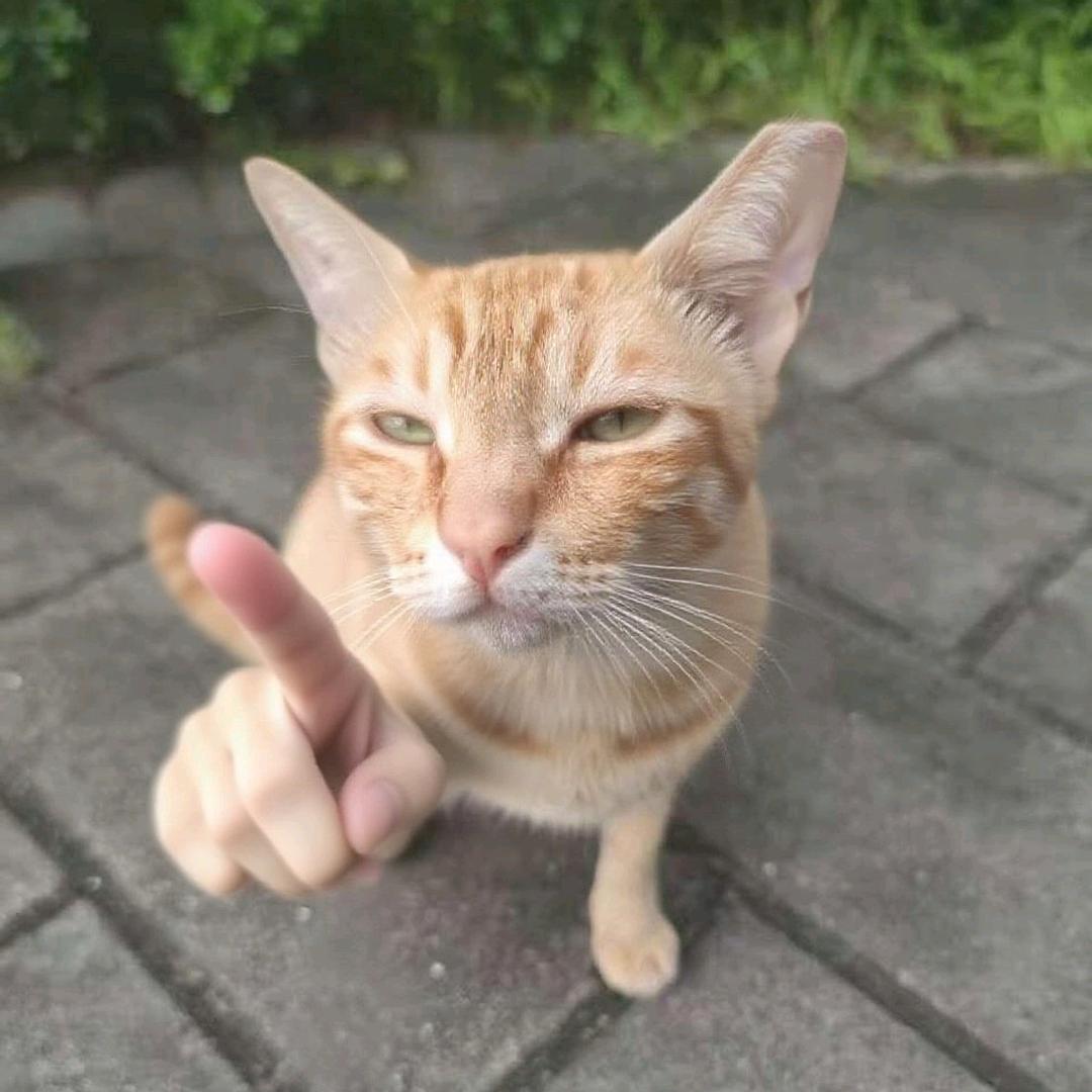 赶羚羊
