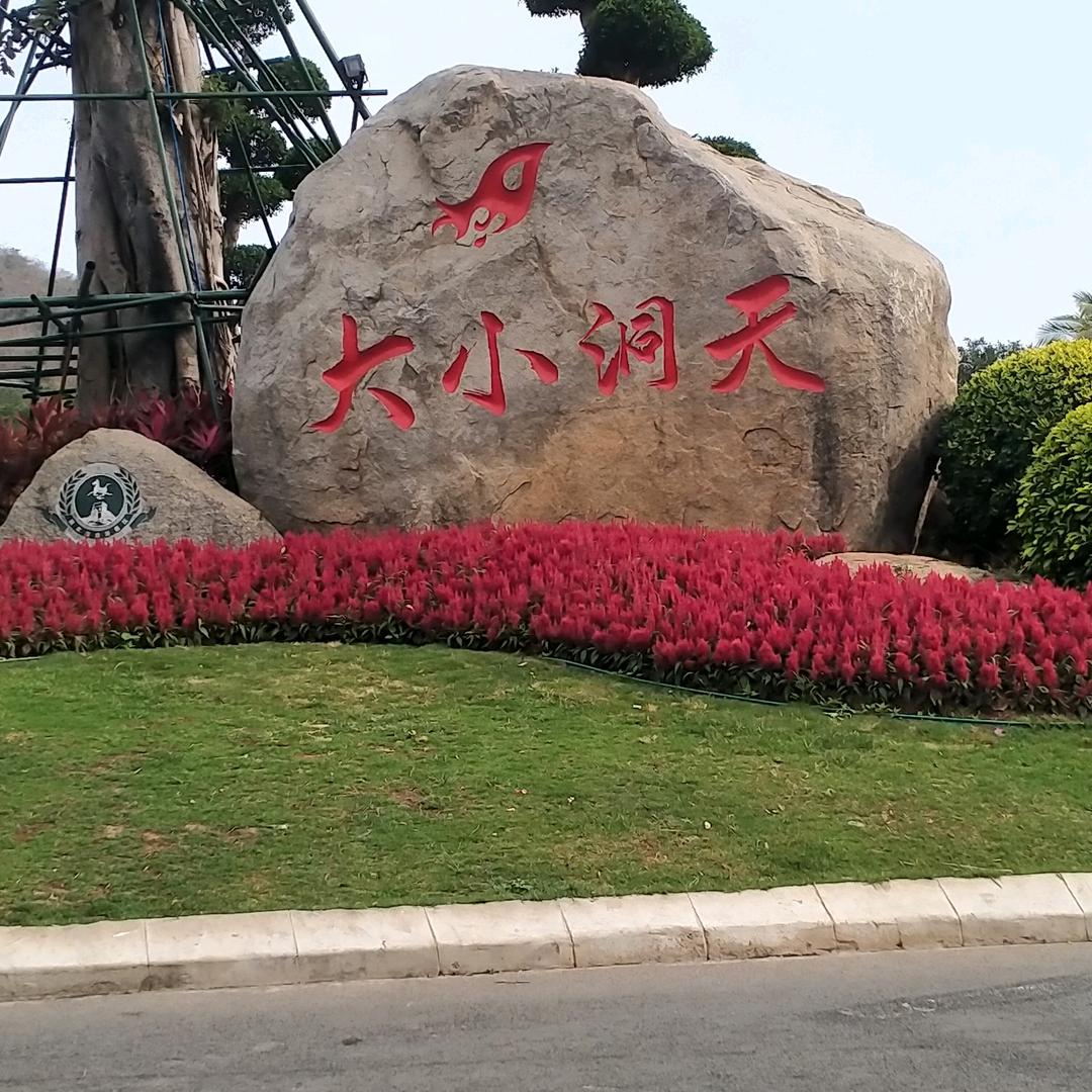 放飞自我