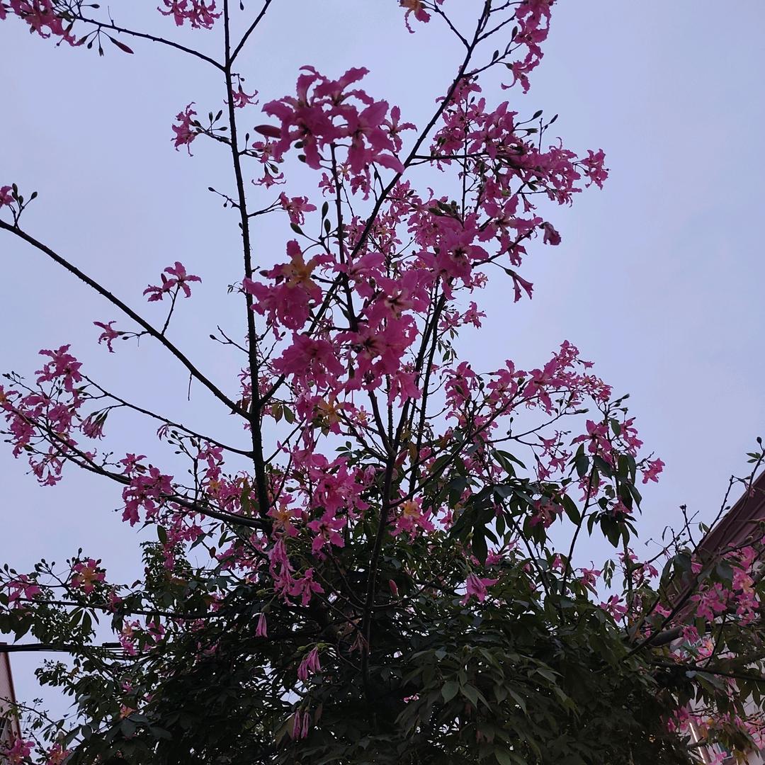 平平安安一家人，拒绝私聊