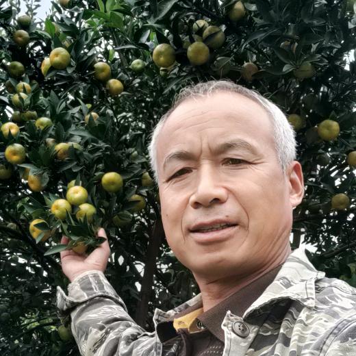 梦成哥