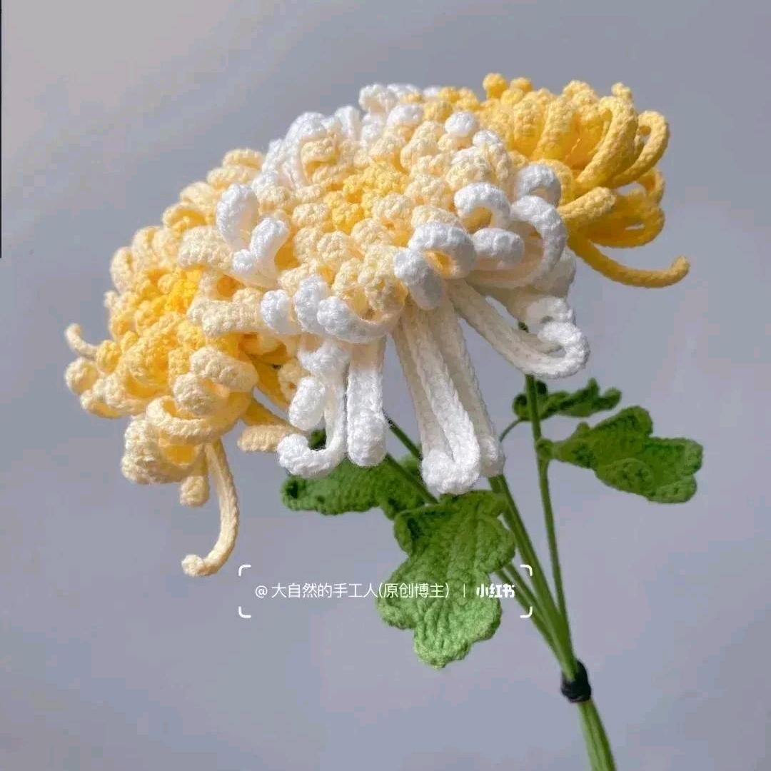 鱼香草