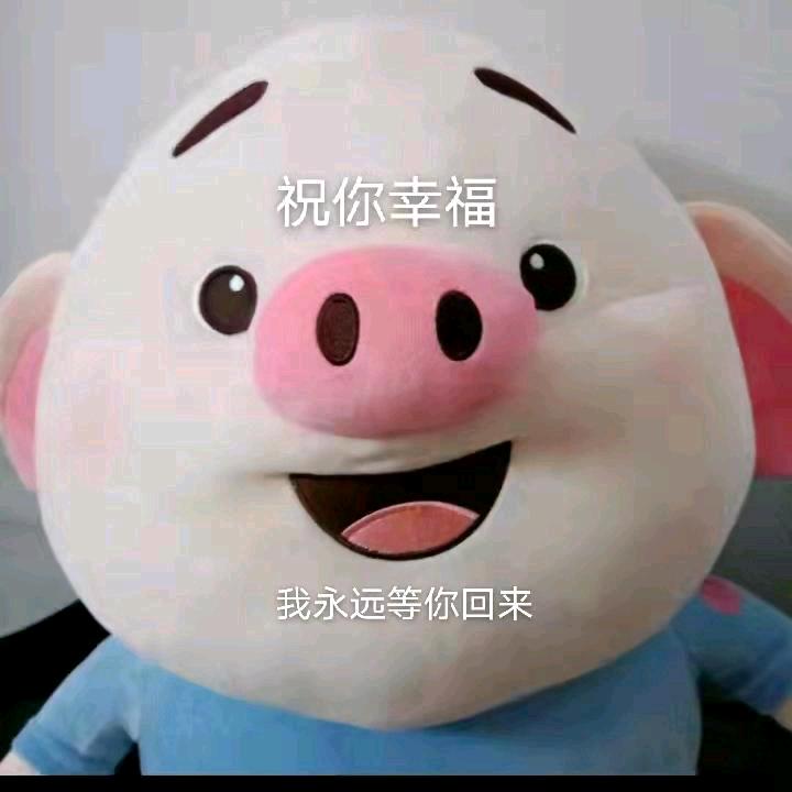 小卡拉米。