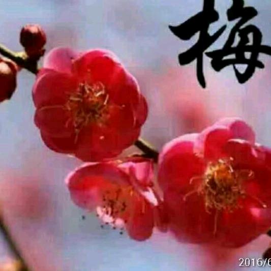 心态好