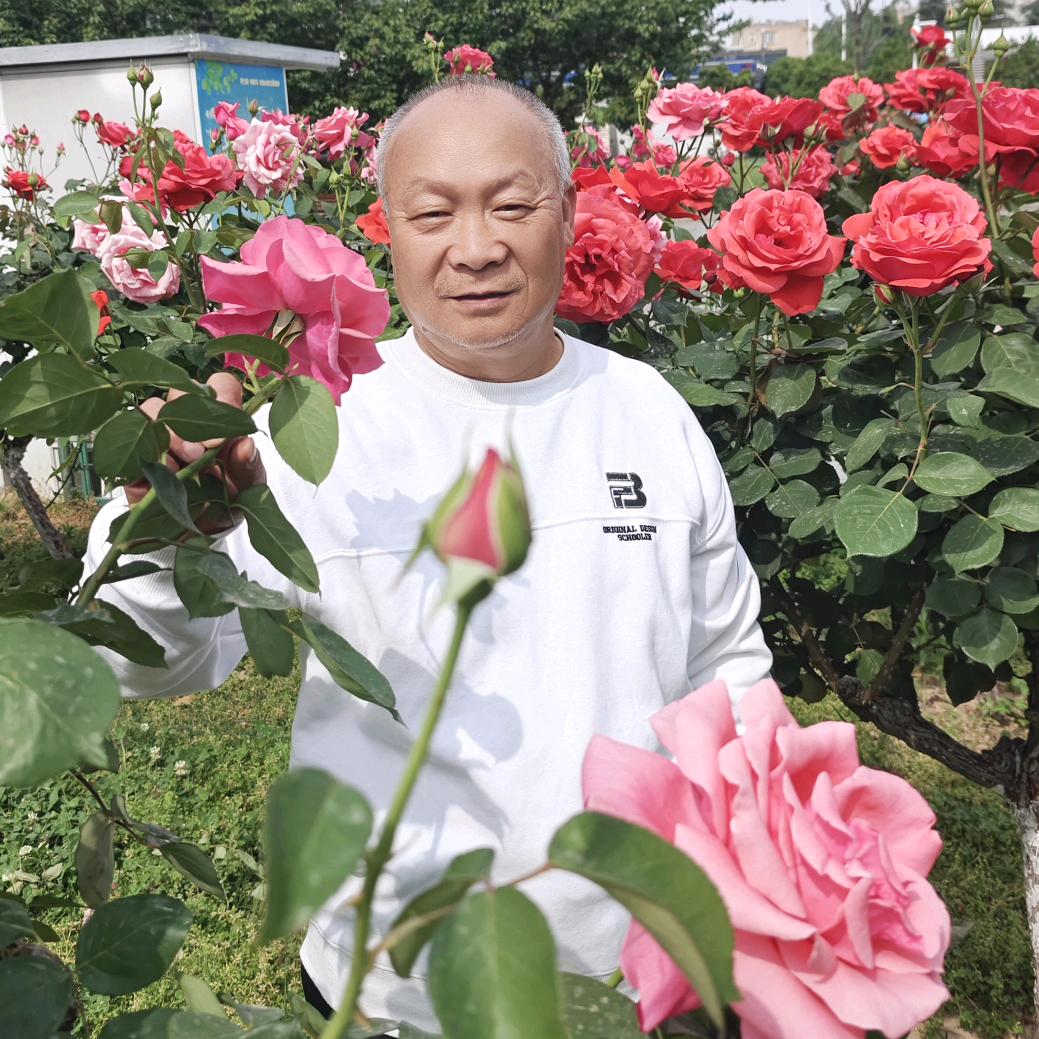 拥抱明天的太阳