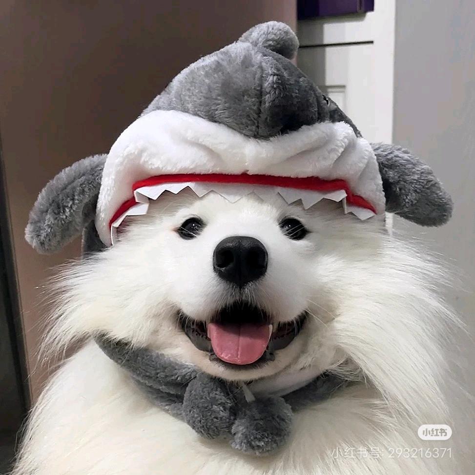 🌈想吃海棣捞.🍟