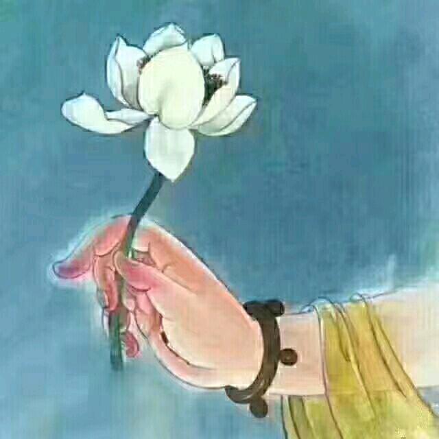 樱粟