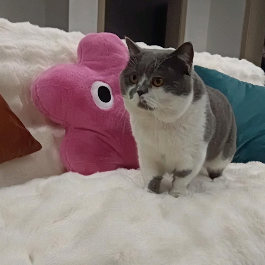 园圈圈੭