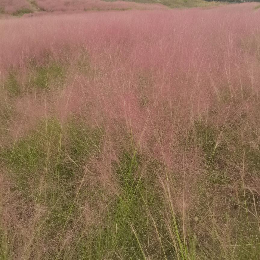 🍑跑🍑跑🍑跑🍑跑🍑跑🍑跑