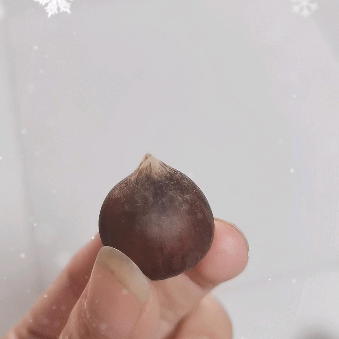湘