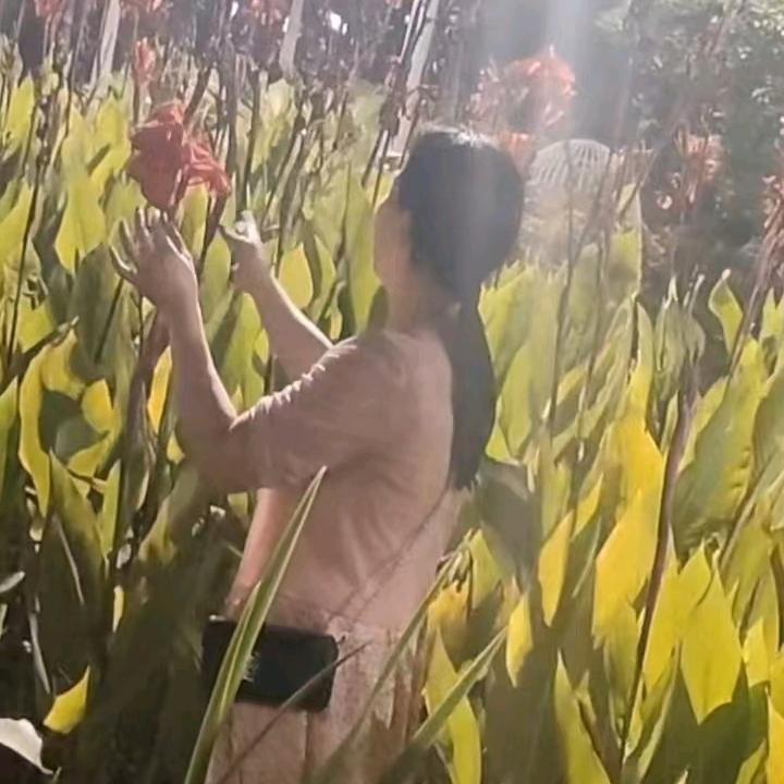 爱笑的小幸运