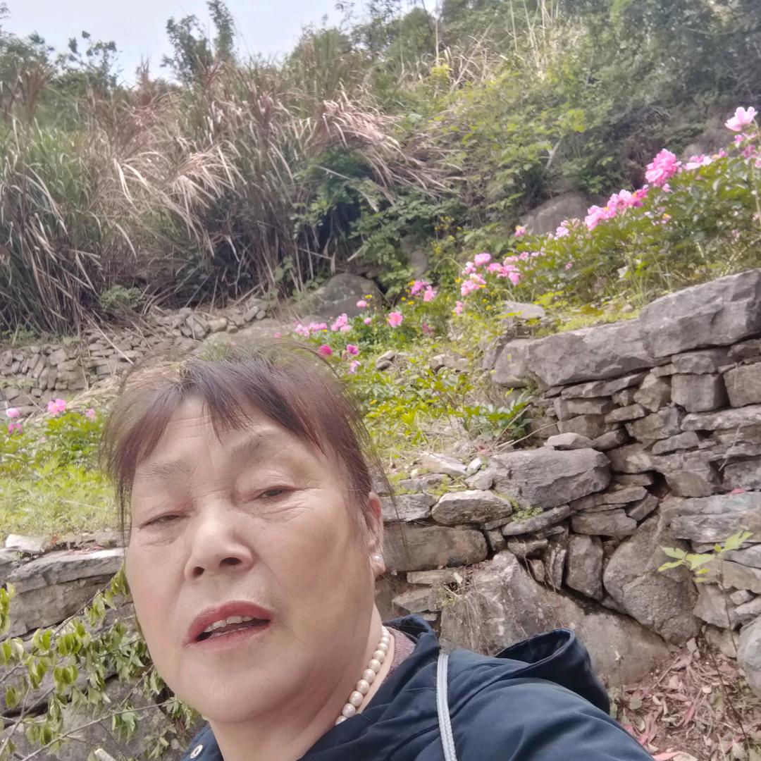 菊英