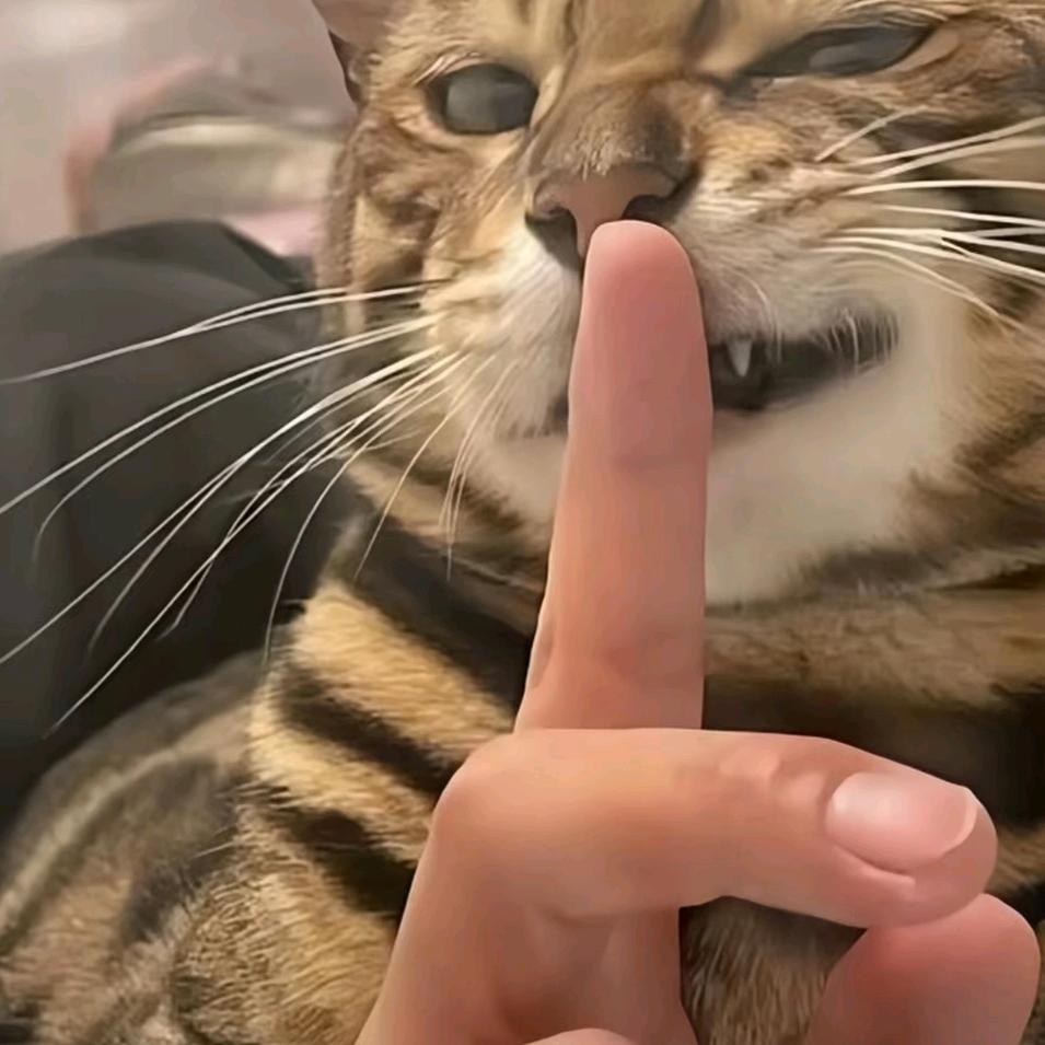 汤姐