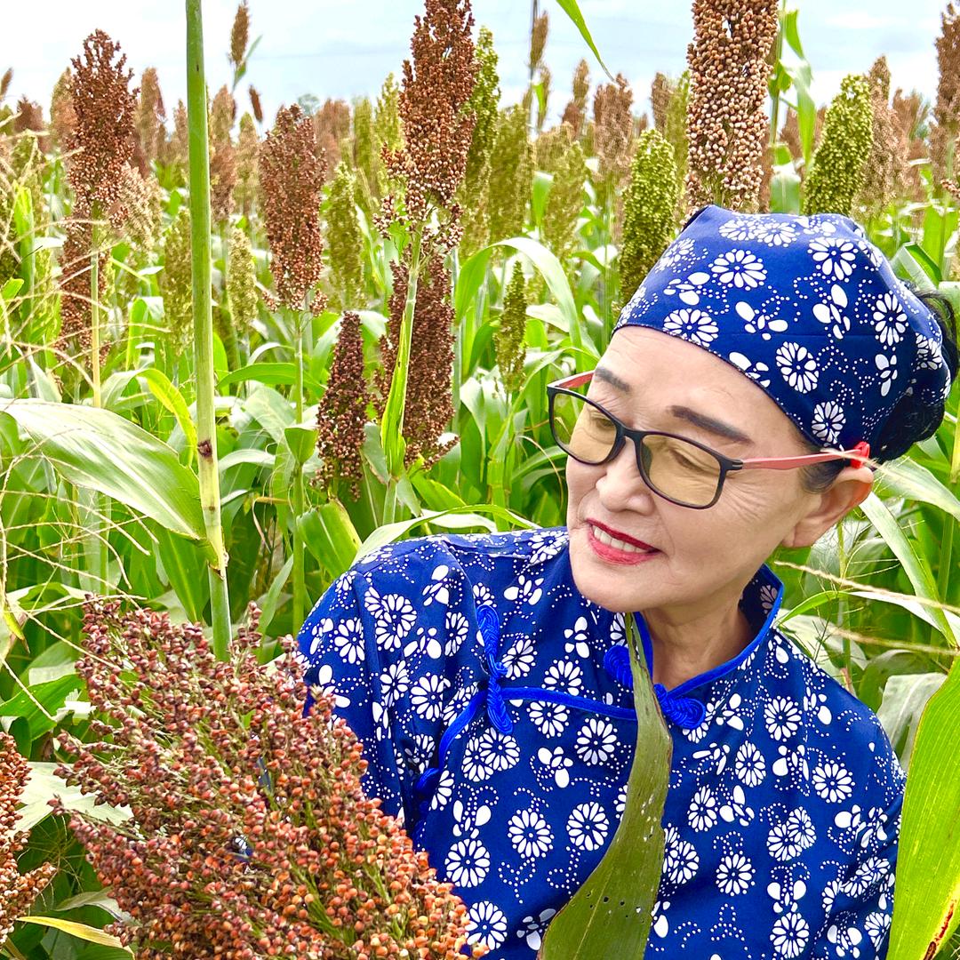 柏梅