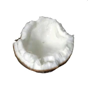 COCONUT🥥