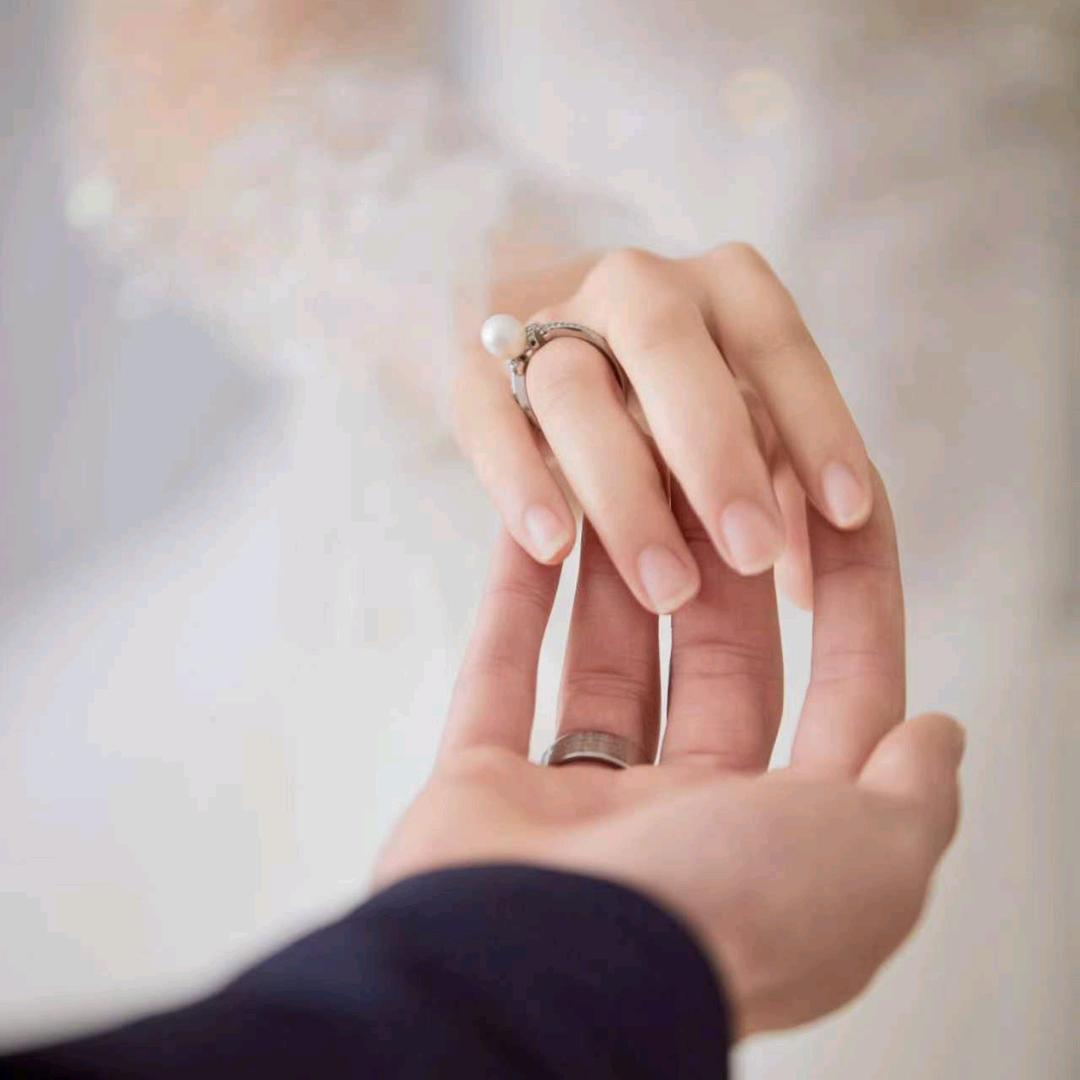 向日葵の等待丶