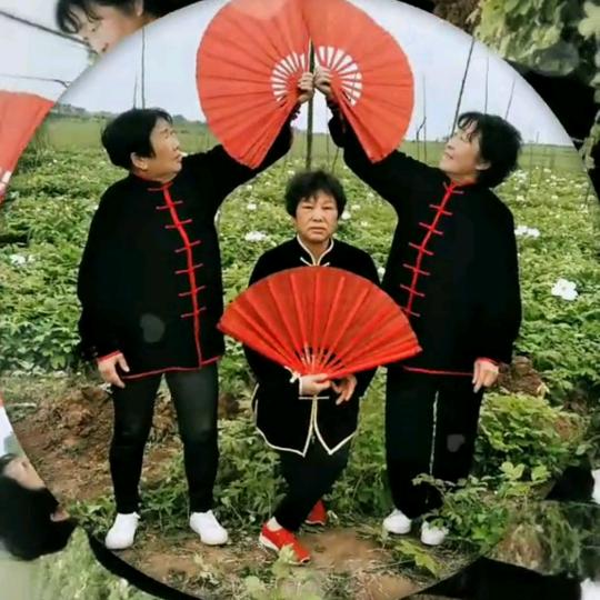 太极爱好者