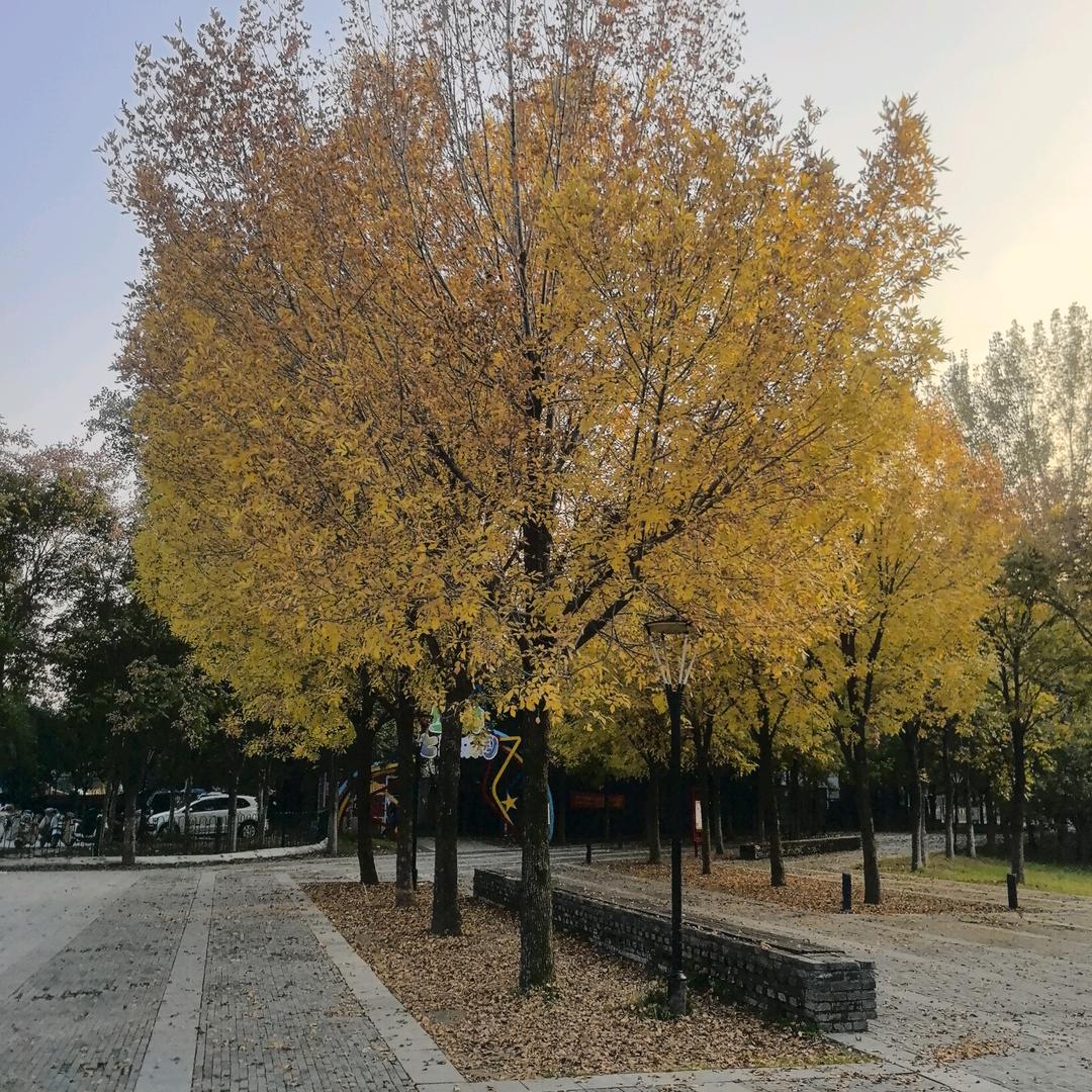 平淡才是真