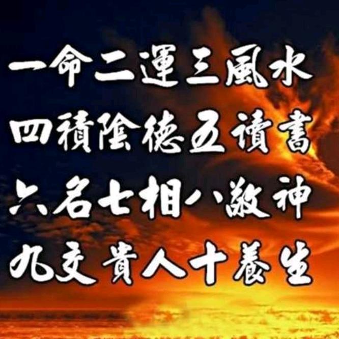 ﹠孤独的狼﹠