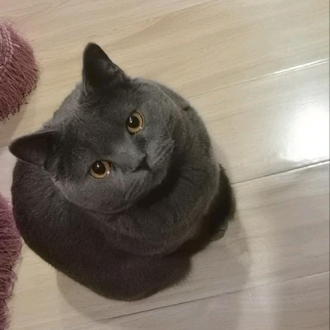 小九儿与大泡芙