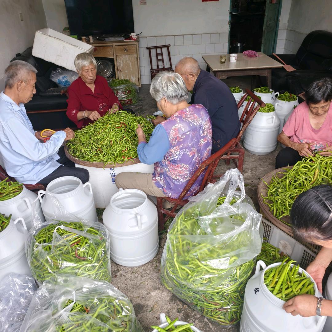 浏阳市程氏小腊妹2