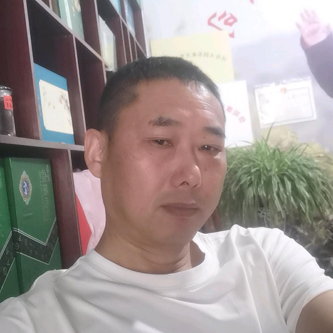 河南灵润茶业批发