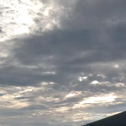 原来是彤小彤啊