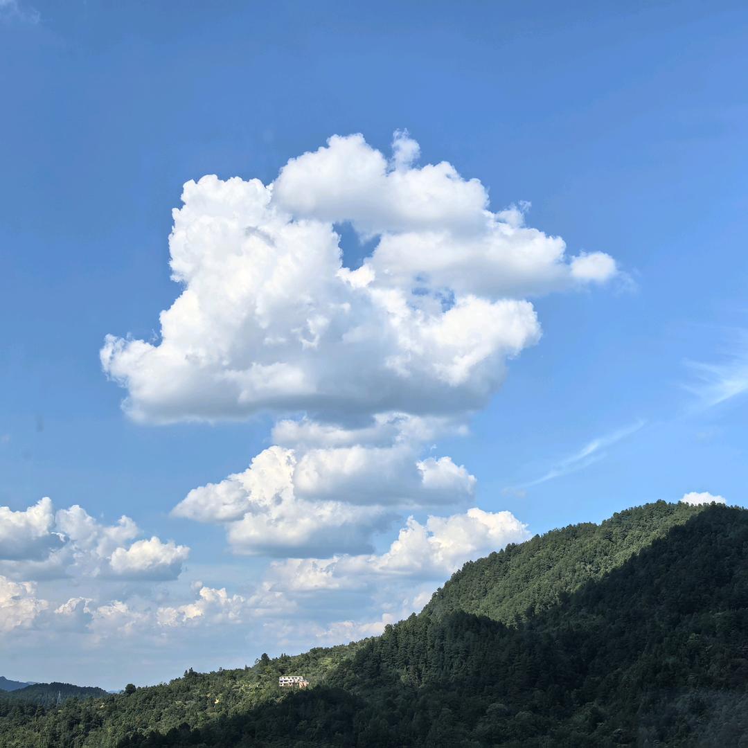 森森小锦鲤