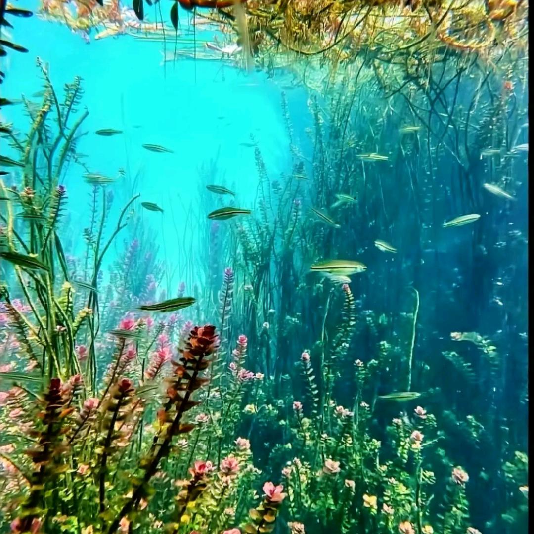 举杯邀酒敬孤独